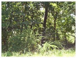 50 CYPRESS POINT, Holiday Island, AR 72631 