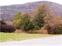 8 Bandy Dr, Holiday Island, AR 72631 