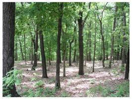 6 Doral Ln, Holiday Island, AR 72631 