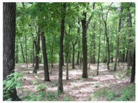 6 Doral Ln, Holiday Island, AR 72631 