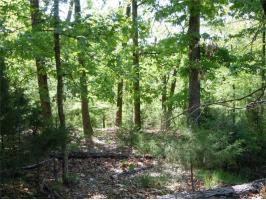 00 NE Ridge Rd, Eureka Springs, AR 72631 