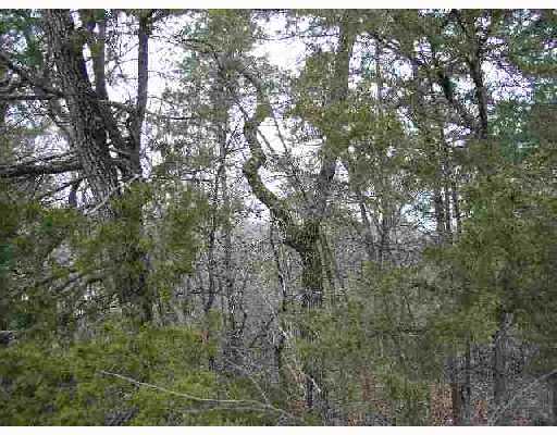 100 Table Rock Dr, Holiday Island, AR 72631 