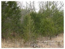 7 Horseshoe Dr, Holiday Island, AR 72631 