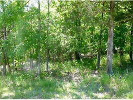 Lot 42 Table Rock Dr., Holiday Island, AR 72631 