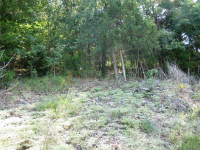 22 Stateline Dr, Holiday Island, AR 72631 