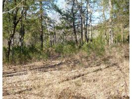 00 Sunrise Ave, Holiday Island, AR 72631 