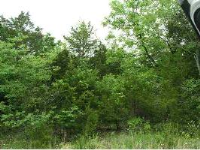 134 STATELINE DRIVE, Holiday Island, AR 72631 