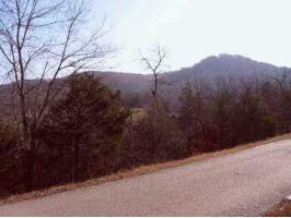 6 COTTONWOOD LANE, Holiday Island, AR 72631 