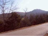 6 COTTONWOOD LANE, Holiday Island, AR 72631 