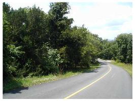 16 Leatherwood Dr, Holiday Island, AR 72631 