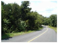 16 Leatherwood Dr, Holiday Island, AR 72631 