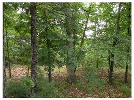 8 Mission Hills Ln, Holiday Island, AR 72631 