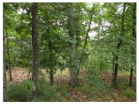 8 Mission Hills Ln, Holiday Island, AR 72631 