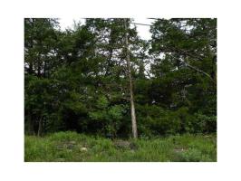 17 Dove Circle, Holiday Island, AR 72631 