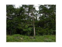 17 Dove Circle, Holiday Island, AR 72631 