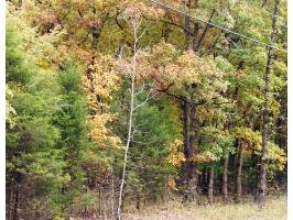 86 Country Club Dr, Holiday Island, AR 72631 