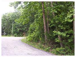 36 Woodside Ln, Holiday Island, AR 72631 