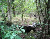 38 Thomas Circle E, Holiday Island, AR 72631 