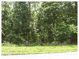 263 Holiday Island Dr, Holiday Island, AR 72631 