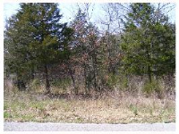 55 Valley Dr, Holiday Island, AR 72631 