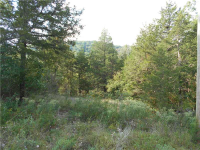 Sunrise Ave, Holiday Island, AR 72631 