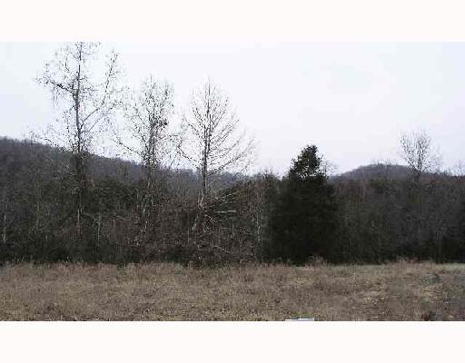 0 WILD TURKEY DRIVE, Holiday Island, AR 72631 