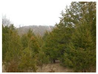 22 Wildcat Dr, Holiday Island, AR 72631 