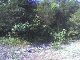 83 Wild Turkey Dr, Holiday Island, AR 72631 