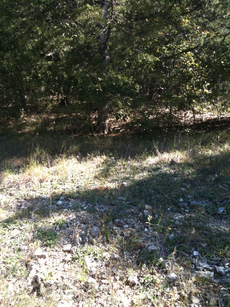 00 Valley Dr, Holiday Island, AR 72631 