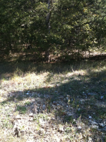 00 Valley Dr, Holiday Island, AR 72631 