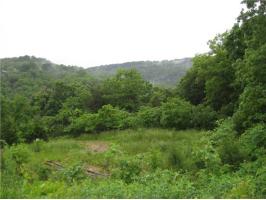 CR 209, Eureka Springs, AR 72632 