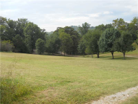 360 CR 1071, Eureka Springs, AR 72632 