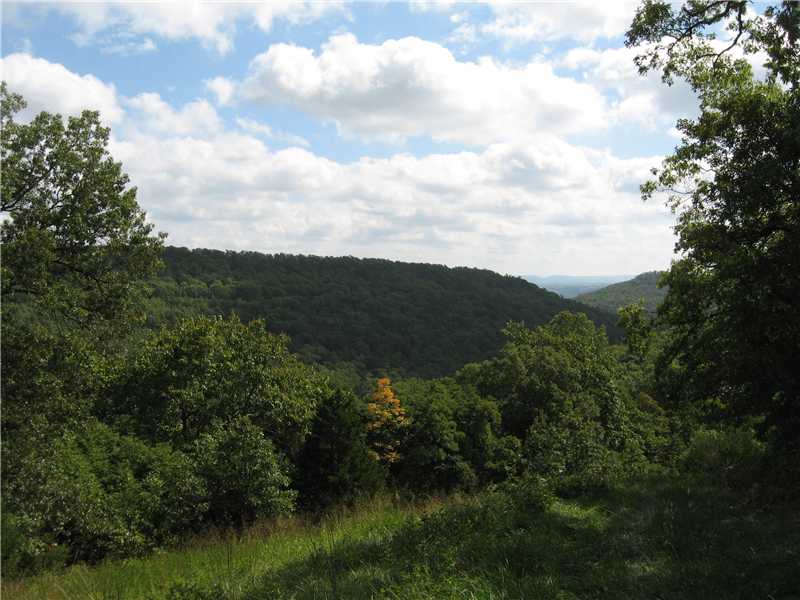 Onyx Cave Rd, Eureka Springs, AR 72632 