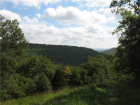 Onyx Cave Rd, Eureka Springs, AR 72632 