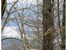 00 CR 206, Eureka Springs, AR 72632 