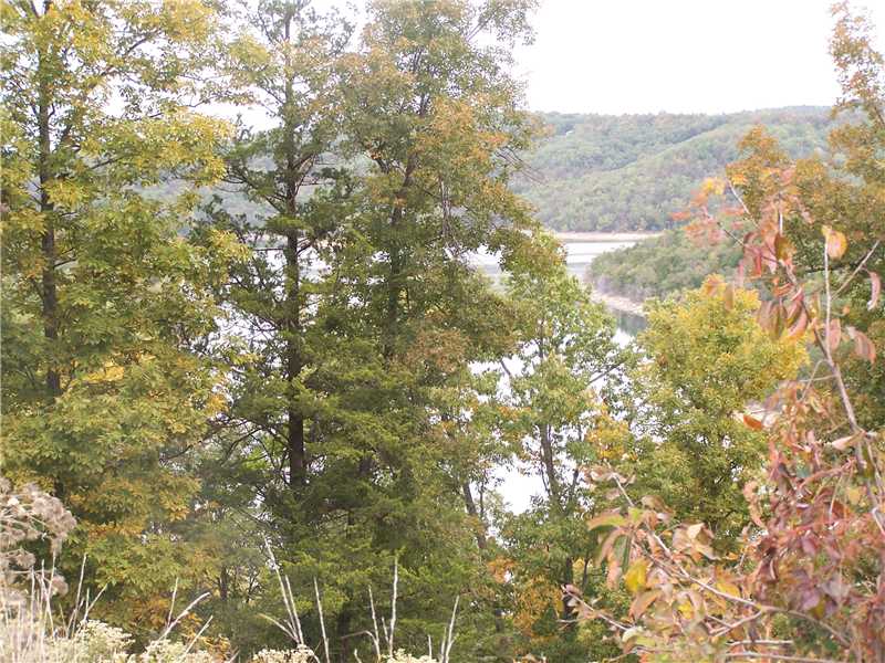 CR 152 Lot 9 La Bonne Vie, Eureka Springs, AR 72632 