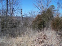 CR 3025, Eureka Springs, AR 72632 