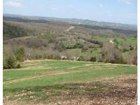 Lot 1 CR 309, Eureka Springs, AR 72632 