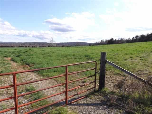 000 Fallen Ash Road, Flippin, AR 72634 