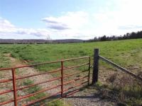 000 Fallen Ash Road, Flippin, AR 72634 