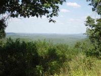 00 Mc 6061, Flippin, AR 72634 