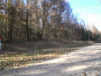 00 Mc 7075, Flippin, AR 72634 