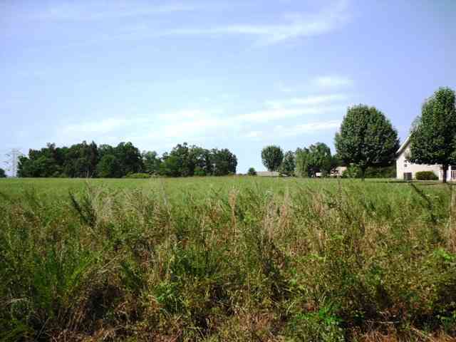 Lts 21 &amp; 30 Mc 7001, Flippin, AR 72634 