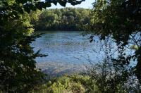 Lot 7 Jenkins Creek Lane Ln, Gassville, AR 72635 