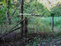 000 Cr 1193, Gassville, AR 72635 