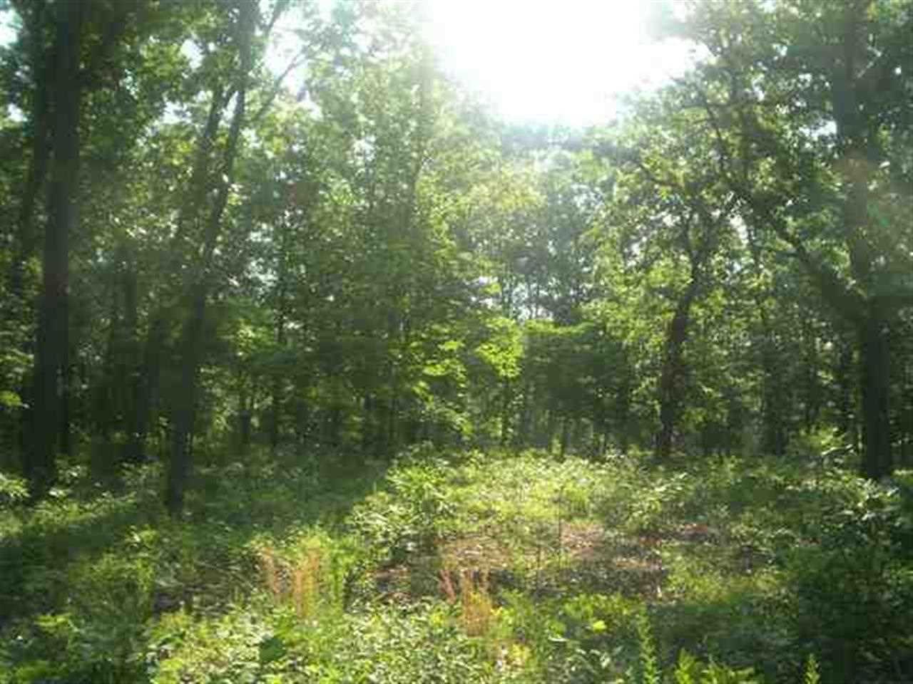 Lts 19 &amp; 20 Homestead Lane Ln, Gassville, AR 72635 