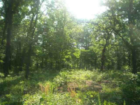 Lts 19 &amp; 20 Homestead Lane Ln, Gassville, AR 72635 