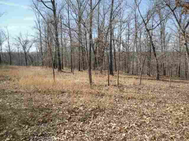 Lts 17 &amp; 18 Homestead Lane, Gassville, AR 72635 