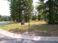 Lot 104 Magness Drive, Gassville, AR 72635 
