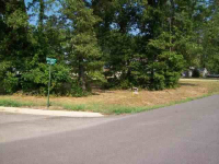 Lot 118 Red Bud Road, Gassville, AR 72635 